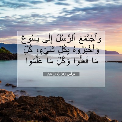 Picture 07 - مَرْقُس 6:30 AVD - وَٱجْتَمَعَ ٱلرُّسُلُ - Bible Verse Picture