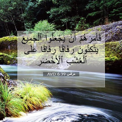 Picture 07 - مَرْقُس 6:39 AVD - فَأَمَرَهُمْ أَنْ - Bible Verse Picture