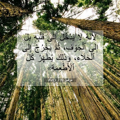 Picture 07 - مَرْقُس 7:19 AVD - لِأَنَّهُ لَا يَدْخُلُ - Bible Verse Picture