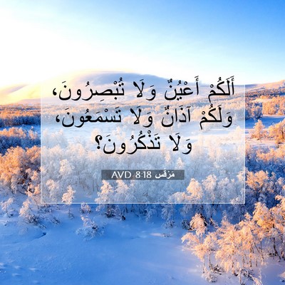 Picture 07 - مَرْقُس 8:18 AVD - أَلَكُمْ أَعْيُنٌ وَلَا - Bible Verse Picture