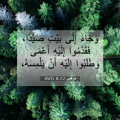 Picture 07 - مَرْقُس 8:22 AVD - وَجَاءَ إِلَى بَيْتِ - Bible Verse Picture