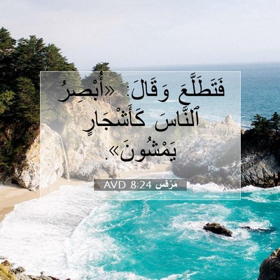 Picture 07 - مَرْقُس 8:24 AVD - فَتَطَلَّعَ وَقَالَ: - Bible Verse Picture