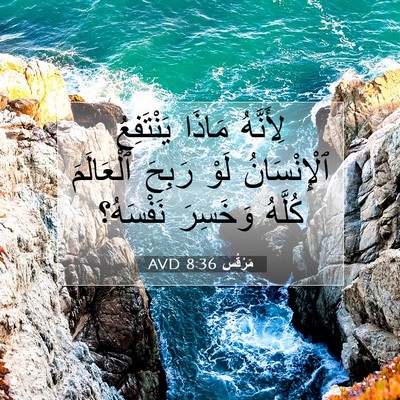 Picture 07 - مَرْقُس 8:36 AVD - لِأَنَّهُ مَاذَا - Bible Verse Picture