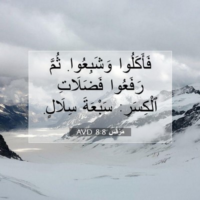 Picture 07 - مَرْقُس 8:8 AVD - فَأَكَلُوا وَشَبِعُوا. - Bible Verse Picture
