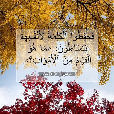 Picture 07 - مَرْقُس 9:10 AVD - فَحَفِظُوا ٱلْكَلِمَةَ - Bible Verse Picture