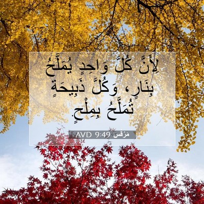 Picture 07 - مَرْقُس 9:49 AVD - لِأَنَّ كُلَّ وَاحِدٍ - Bible Verse Picture