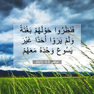 Picture 07 - مَرْقُس 9:8 AVD - فَنَظَرُوا حَوْلَهُمْ - Bible Verse Picture
