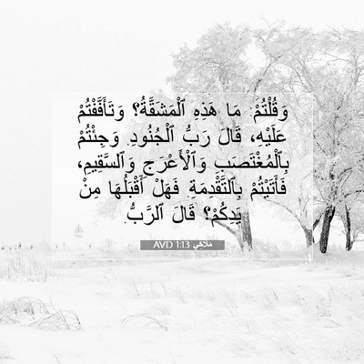 Picture 07 - مَلَاخِي 1:13 AVD - وَقُلْتُمْ: مَا هَذِهِ - Bible Verse Picture