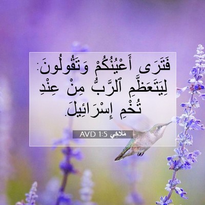Picture 07 - مَلَاخِي 1:5 AVD - فَتَرَى أَعْيُنُكُمْ - Bible Verse Picture