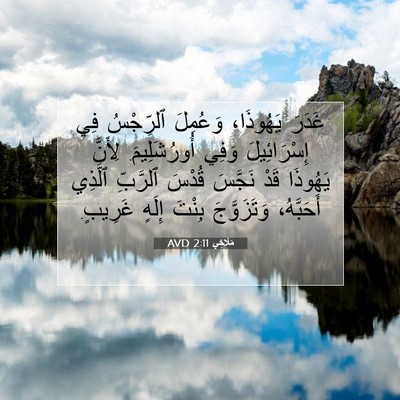 Picture 07 - مَلَاخِي 2:11 AVD - غَدَرَ يَهُوذَا، وَعُمِلَ - Bible Verse Picture