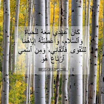 Picture 07 - مَلَاخِي 2:5 AVD - كَانَ عَهْدِي مَعَهُ - Bible Verse Picture