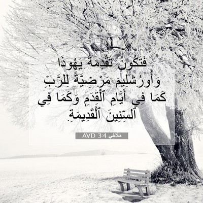 Picture 07 - مَلَاخِي 3:4 AVD - فَتَكُونُ تَقْدِمَةُ - Bible Verse Picture