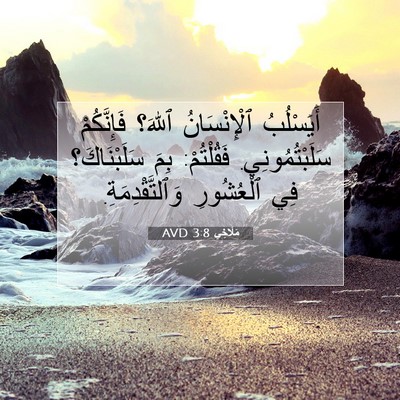 Picture 07 - مَلَاخِي 3:8 AVD - أَيَسْلُبُ ٱلْإِنْسَانُ - Bible Verse Picture