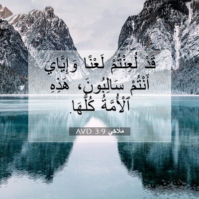 Picture 07 - مَلَاخِي 3:9 AVD - قَدْ لُعِنْتُمْ لَعْنًا - Bible Verse Picture