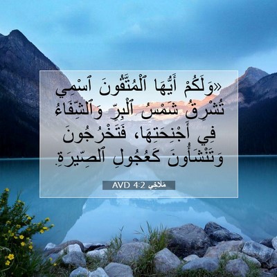 Picture 07 - مَلَاخِي 4:2 AVD - «وَلَكُمْ أَيُّهَا - Bible Verse Picture