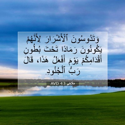 Picture 07 - مَلَاخِي 4:3 AVD - وَتَدُوسُونَ ٱلْأَشْرَارَ - Bible Verse Picture