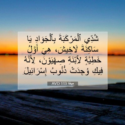 Picture 07 - مِيخَا 1:13 AVD - شُدِّي ٱلْمَرْكَبَةَ - Bible Verse Picture