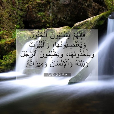 Picture 07 - مِيخَا 2:2 AVD - فَإِنَّهُمْ يَشْتَهُونَ - Bible Verse Picture