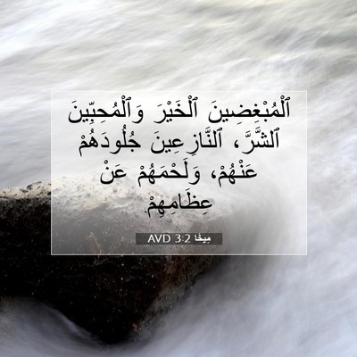 Picture 07 - مِيخَا 3:2 AVD - ٱلْمُبْغِضِينَ ٱلْخَيْرَ - Bible Verse Picture