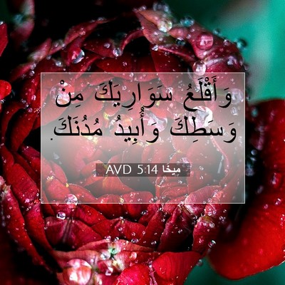Picture 07 - مِيخَا 5:14 AVD - وَأَقْلَعُ سَوَارِيَكَ - Bible Verse Picture