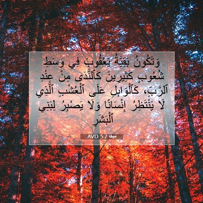 Picture 07 - مِيخَا 5:7 AVD - وَتَكُونُ بَقِيَّةُ - Bible Verse Picture