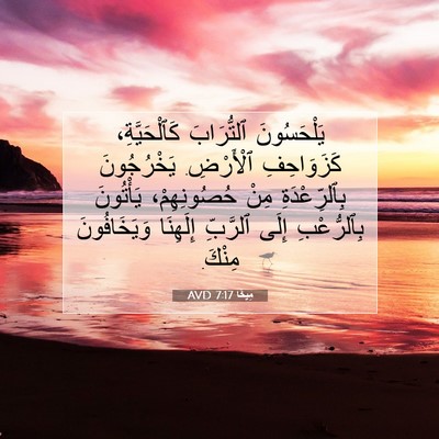 Picture 07 - مِيخَا 7:17 AVD - يَلْحَسُونَ ٱلتُّرَابَ - Bible Verse Picture