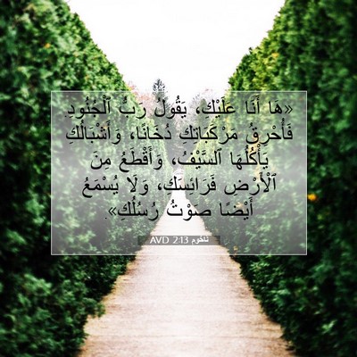 Picture 07 - نَاحُوم 2:13 AVD - «هَا أَنَا عَلَيْكِ، - Bible Verse Picture