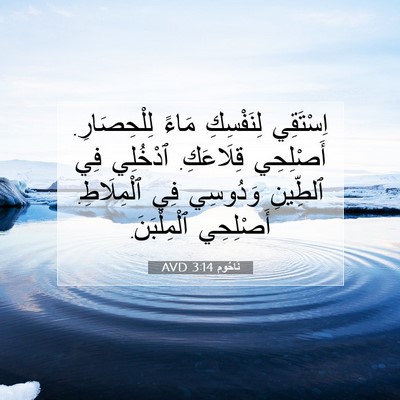 Picture 07 - نَاحُوم 3:14 AVD - اِسْتَقِي لِنَفْسِكِ - Bible Verse Picture