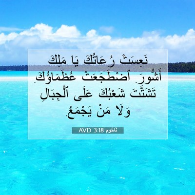 Picture 07 - نَاحُوم 3:18 AVD - نَعِسَتْ رُعَاتُكَ يَا - Bible Verse Picture