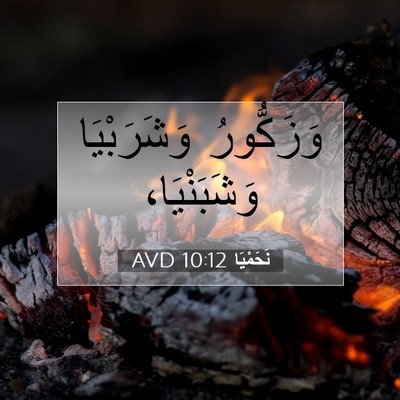 Picture 07 - نَحَمْيَا 10:12 AVD - وَزَكُّورُ وَشَرَبْيَا - Bible Verse Picture