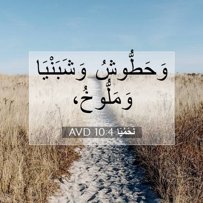 Picture 07 - نَحَمْيَا 10:4 AVD - وَحَطُّوشُ وَشَبَنْيَا - Bible Verse Picture