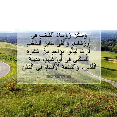 Picture 07 - نَحَمْيَا 11:1 AVD - وَسَكَنَ رُؤَسَاءُ - Bible Verse Picture
