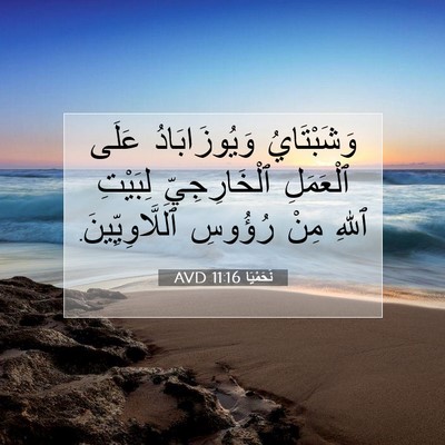 Picture 07 - نَحَمْيَا 11:16 AVD - وَشَبْتَايُ وَيُوزَابَادُ - Bible Verse Picture