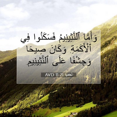 Picture 07 - نَحَمْيَا 11:21 AVD - وَأَمَّا ٱلنَّثِينِيمُ - Bible Verse Picture