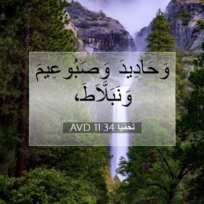 Picture 07 - نَحَمْيَا 11:34 AVD - وَحَادِيدَ وَصَبُوعِيمَ - Bible Verse Picture