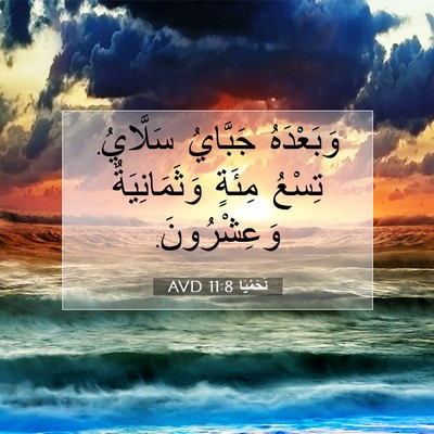 Picture 07 - نَحَمْيَا 11:8 AVD - وَبَعْدَهُ جَبَّايُ - Bible Verse Picture
