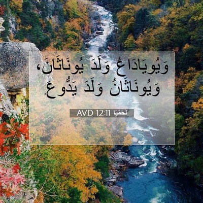 Picture 07 - نَحَمْيَا 12:11 AVD - وَيُويَادَاعُ وَلَدَ - Bible Verse Picture