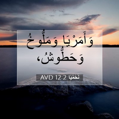 Picture 07 - نَحَمْيَا 12:2 AVD - وَأَمَرْيَا وَمَلُّوخُ - Bible Verse Picture