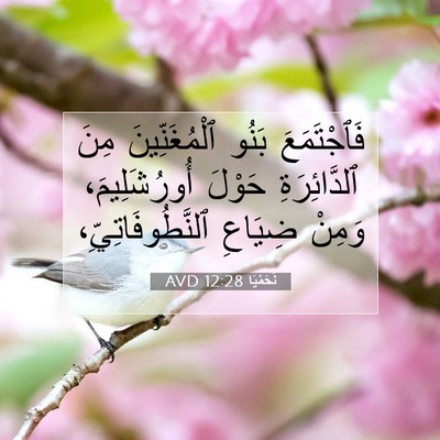 Picture 07 - نَحَمْيَا 12:28 AVD - فَٱجْتَمَعَ بَنُو - Bible Verse Picture