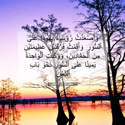 Picture 07 - نَحَمْيَا 12:31 AVD - وَأَصْعَدْتُ رُؤَسَاءَ - Bible Verse Picture