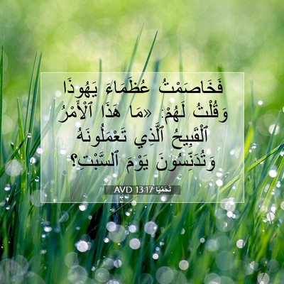 Picture 07 - نَحَمْيَا 13:17 AVD - فَخَاصَمْتُ عُظَمَاءَ - Bible Verse Picture