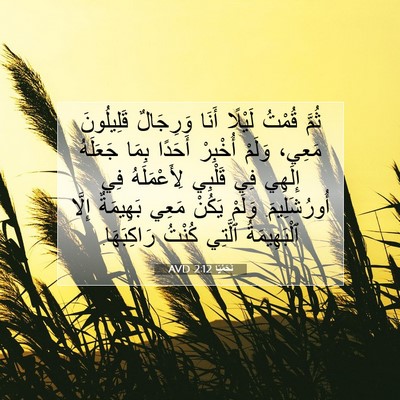 Picture 07 - نَحَمْيَا 2:12 AVD - ثُمَّ قُمْتُ لَيْلًا أَنَا - Bible Verse Picture