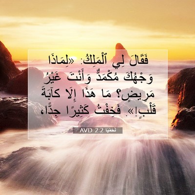 Picture 07 - نَحَمْيَا 2:2 AVD - فَقَالَ لِي ٱلْمَلِكُ: - Bible Verse Picture