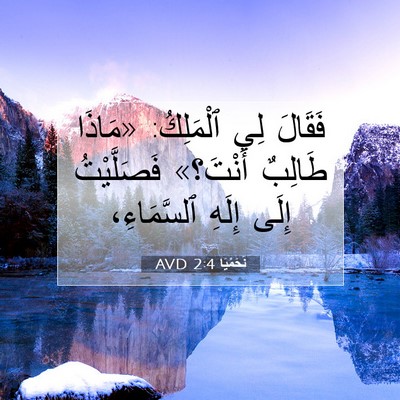 Picture 07 - نَحَمْيَا 2:4 AVD - فَقَالَ لِي ٱلْمَلِكُ: - Bible Verse Picture