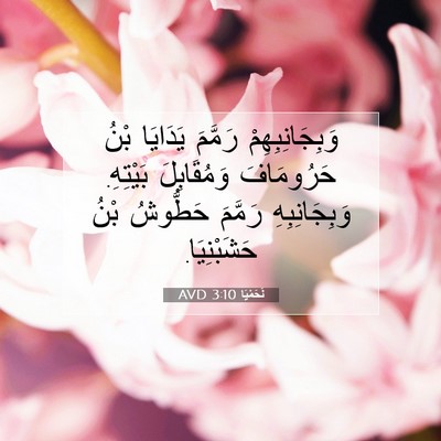 Picture 07 - نَحَمْيَا 3:10 AVD - وَبِجَانِبِهِمْ رَمَّمَ - Bible Verse Picture