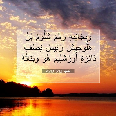 Picture 07 - نَحَمْيَا 3:12 AVD - وَبِجَانِبِهِ رَمَّمَ - Bible Verse Picture