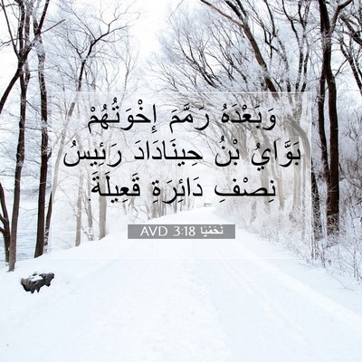 Picture 07 - نَحَمْيَا 3:18 AVD - وَبَعْدَهُ رَمَّمَ - Bible Verse Picture