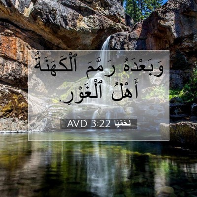 Picture 07 - نَحَمْيَا 3:22 AVD - وَبَعْدَهُ رَمَّمَ - Bible Verse Picture