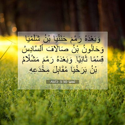 Picture 07 - نَحَمْيَا 3:30 AVD - وَبَعْدَهُ رَمَّمَ - Bible Verse Picture