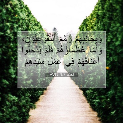 Picture 07 - نَحَمْيَا 3:5 AVD - وَبِجَانِبِهِمْ رَمَّمَ - Bible Verse Picture
